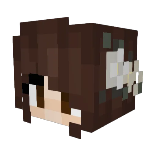 PlantMichel Minecraft avatar head, 3D render