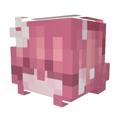 Plantje123 Minecraft avatar head, 3D render