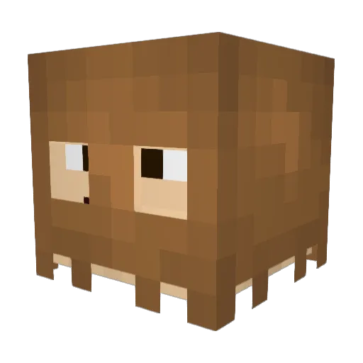 Planty_Jake Minecraft avatar head, 3D render