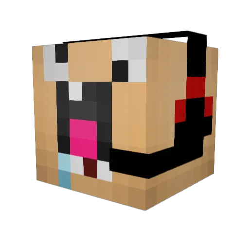 Plappalottapus Minecraft avatar head, 3D render