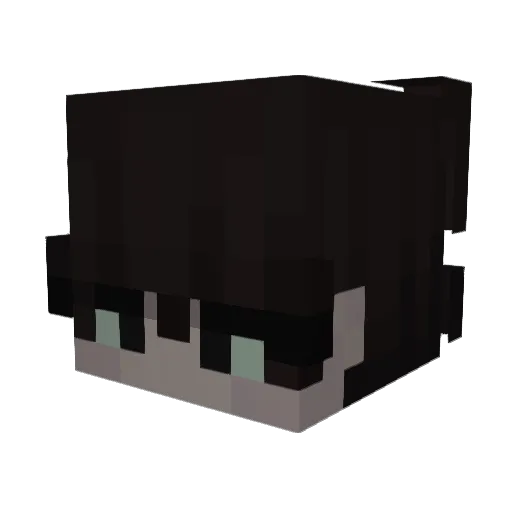 Plapping Minecraft avatar head, 3D render