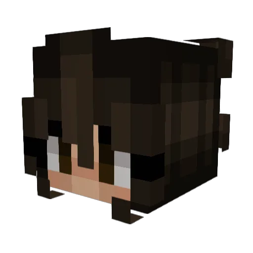 Plarks_66 Minecraft avatar head, 3D render