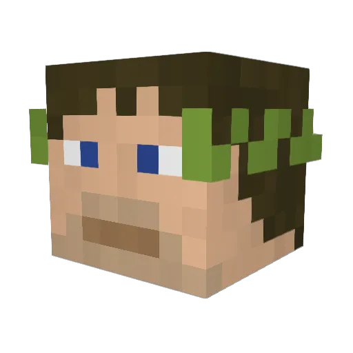 Plartmaestro Minecraft avatar head, 3D render