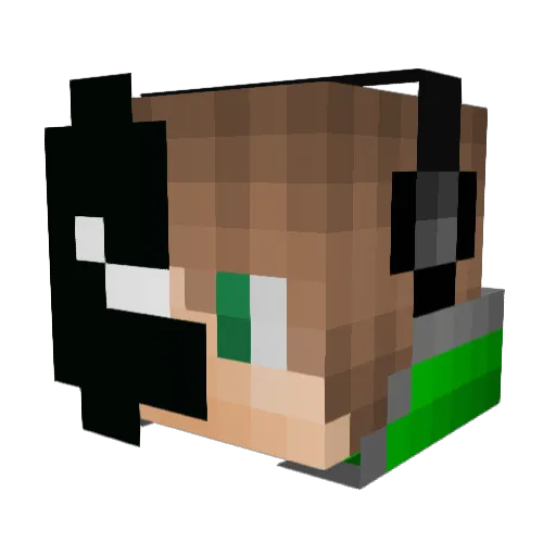 PlasmaBlaster26 Minecraft avatar head, 3D render