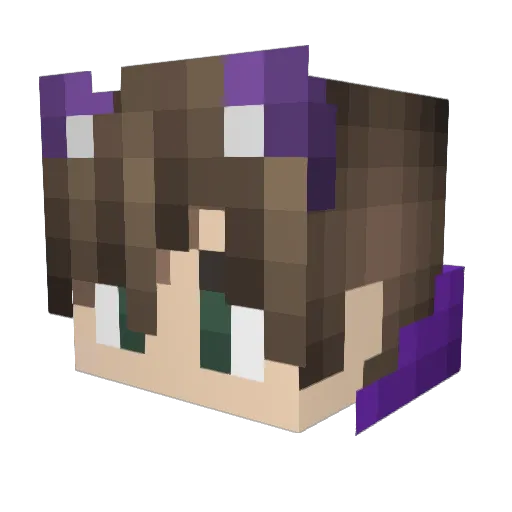 PlasmaDragon21 Minecraft avatar head, 3D render