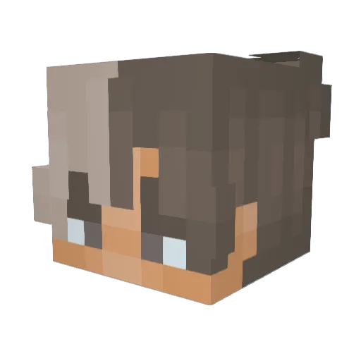 PlasmaPlayzz Minecraft avatar head, 3D render