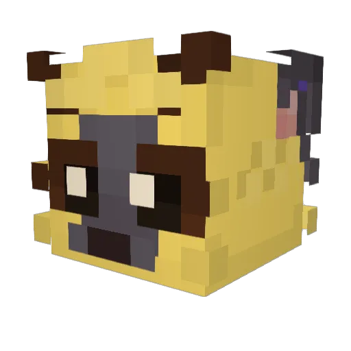 PlasmaStat Minecraft avatar head, 3D render