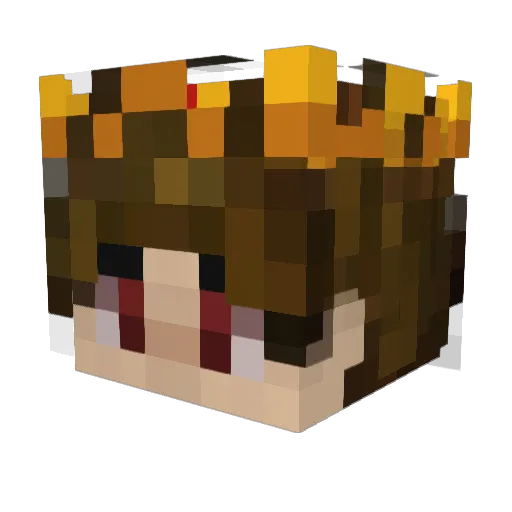 Plasma_Wolf75 Minecraft avatar head, 3D render