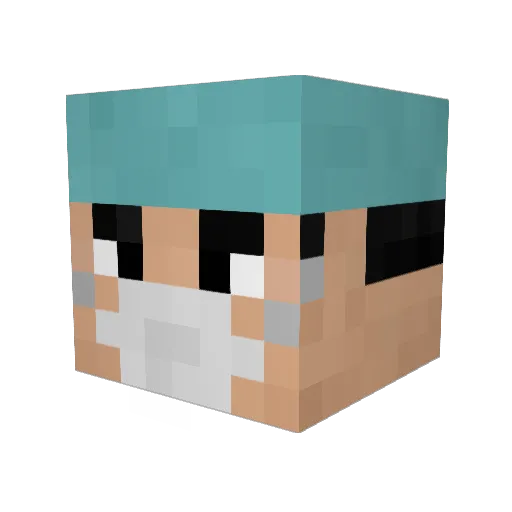 PlasticSurgeon Minecraft avatar head, 3D render