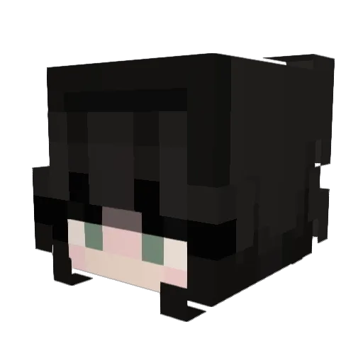 PlataGames Minecraft avatar head, 3D render