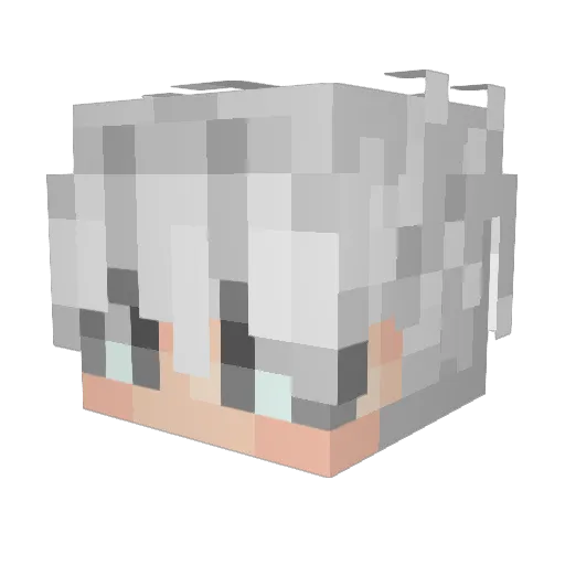 Plataret Minecraft avatar head, 3D render