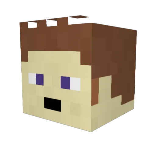 PlatedPenguin Minecraft avatar head, 3D render