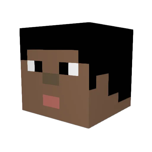 PlatinumAcorn Minecraft avatar head, 3D render
