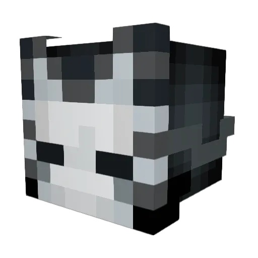PlatinumGold308 Minecraft avatar head, 3D render