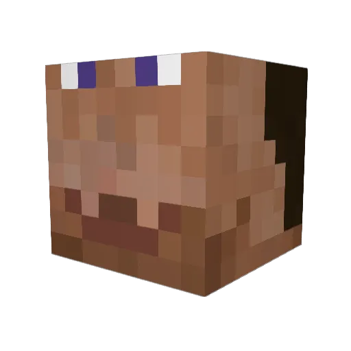 PlatinumRook Minecraft avatar head, 3D render