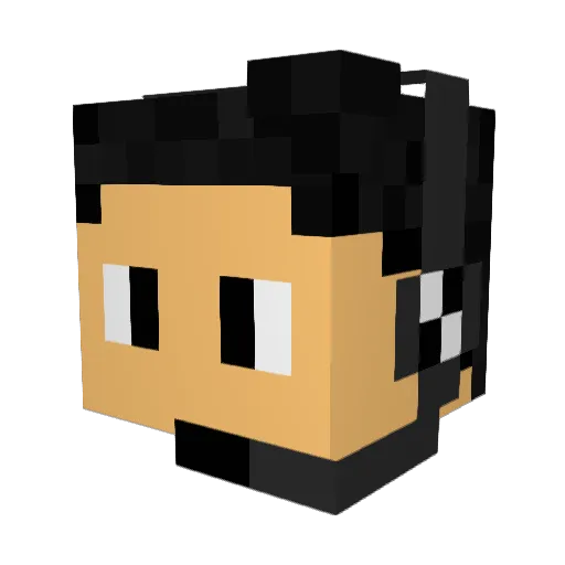 Platipus_s Minecraft avatar head, 3D render
