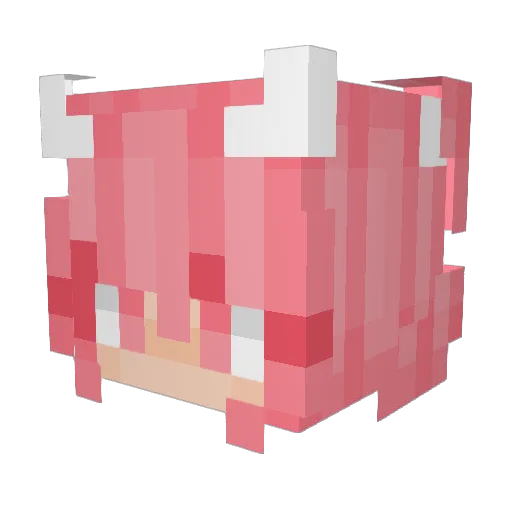 PlatoLovesMC Minecraft avatar head, 3D render