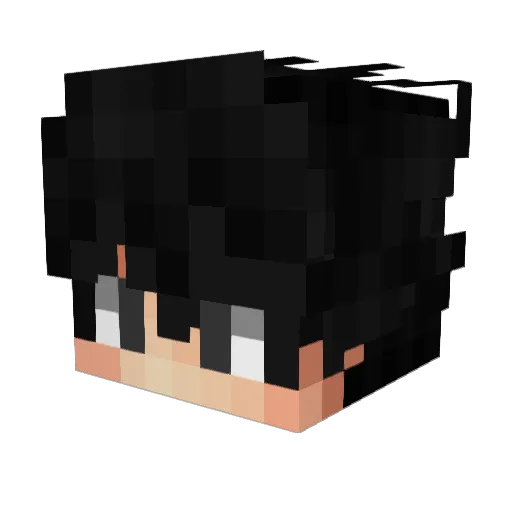 Platonico Minecraft avatar head, 3D render
