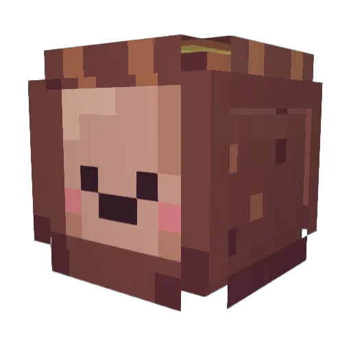 Plats Minecraft avatar head, 3D render