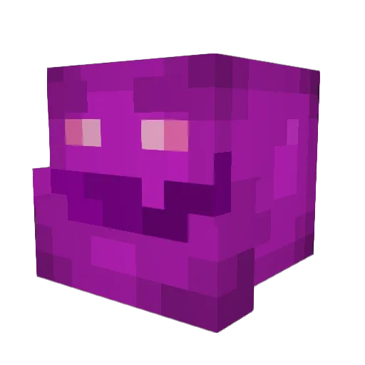 Plattenwaldhonks Minecraft avatar head, 3D render