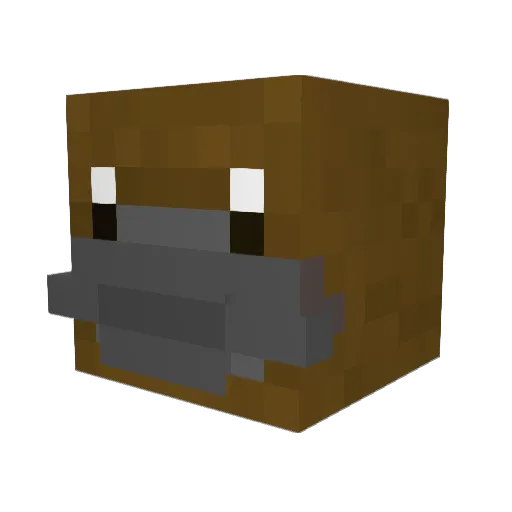 Plattypus Minecraft avatar head, 3D render