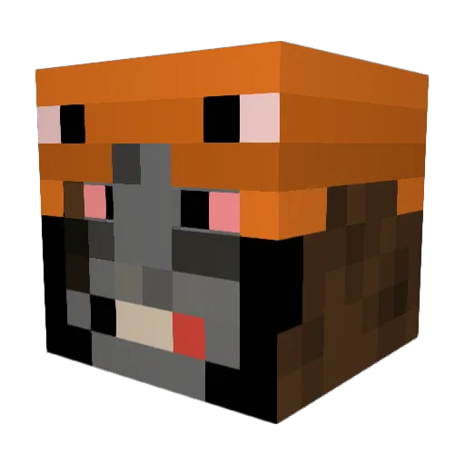 Platxnum Minecraft avatar head, 3D render