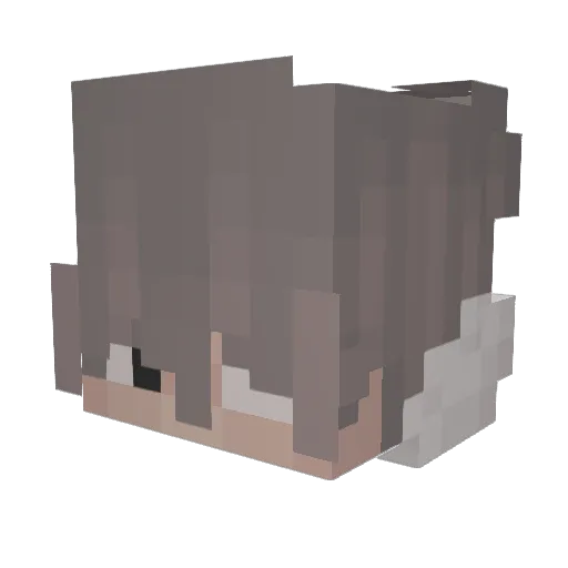 PlatyWin Minecraft avatar head, 3D render