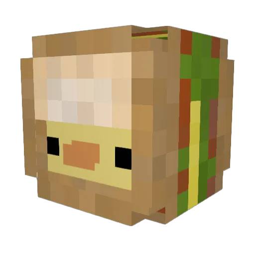 Platypewwsss Minecraft avatar head, 3D render