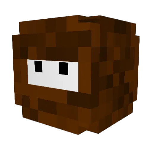 Platypus1111 Minecraft avatar head, 3D render