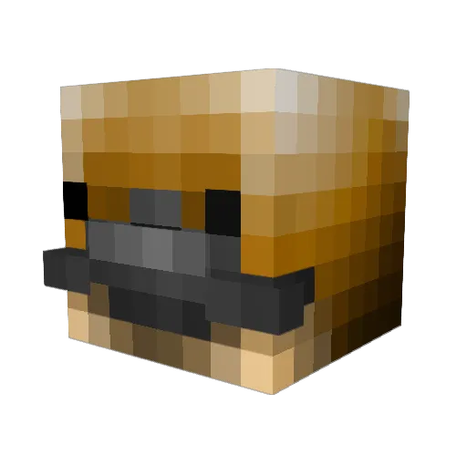 Platypus316 Minecraft avatar head, 3D render