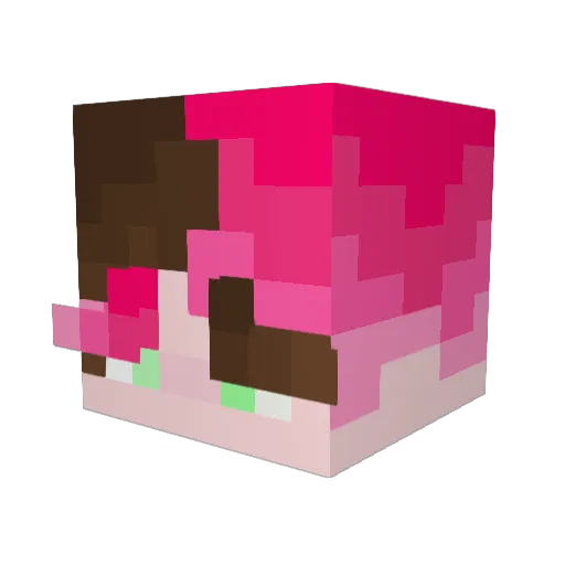 Platypus54148 Minecraft avatar head, 3D render