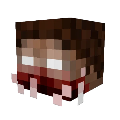 Platypus782 Minecraft avatar head, 3D render
