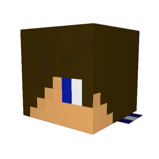 PlatypusNinja8 Minecraft avatar head, 3D render