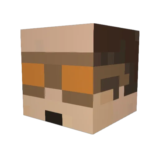 PlatypusOG Minecraft avatar head, 3D render