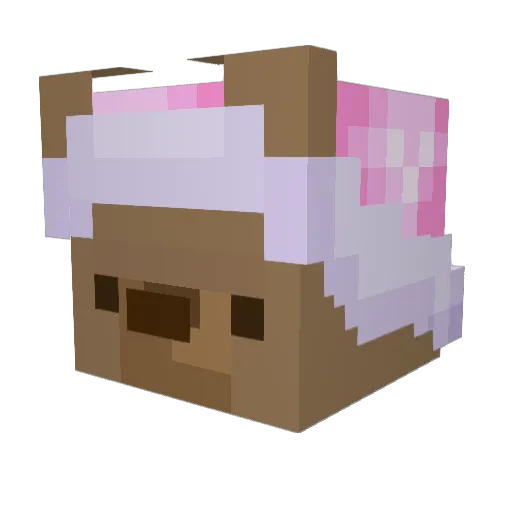 PlatypusOrNot Minecraft avatar head, 3D render