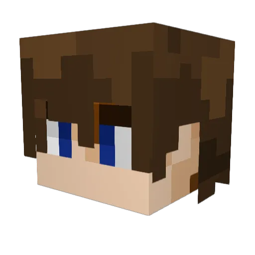 Platypus_Penguin Minecraft avatar head, 3D render