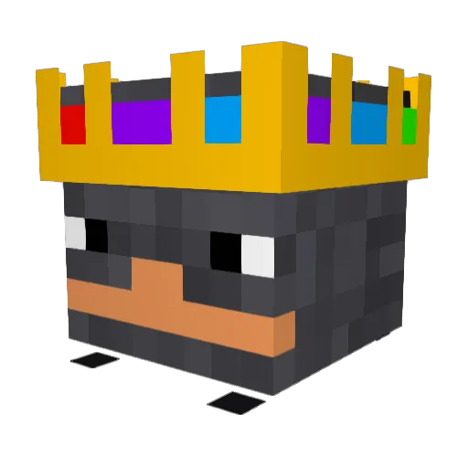 Platypusboii Minecraft avatar head, 3D render
