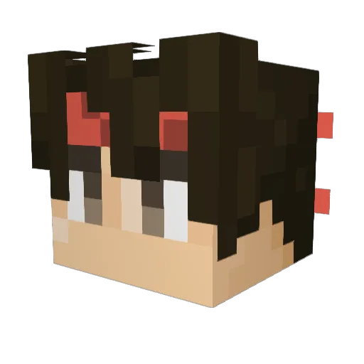 Plauscha1511 Minecraft avatar head, 3D render