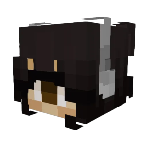 Plausible_onion Minecraft avatar head, 3D render
