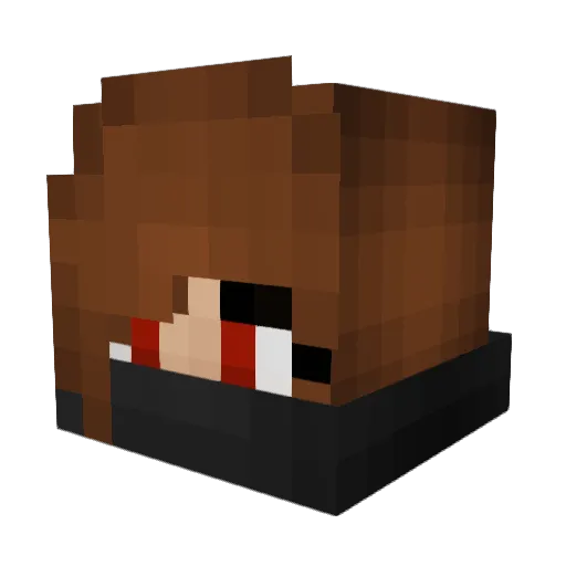 PlaxsFreundin Minecraft avatar head, 3D render