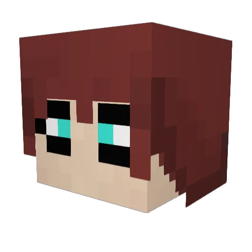 PlayGEEK81500 Minecraft avatar head, 3D render