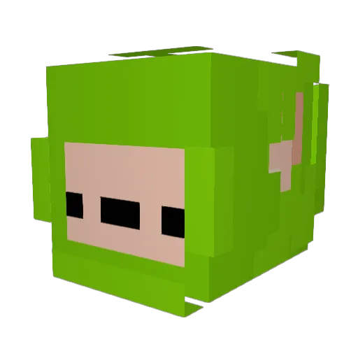PlayInfection Minecraft avatar head, 3D render