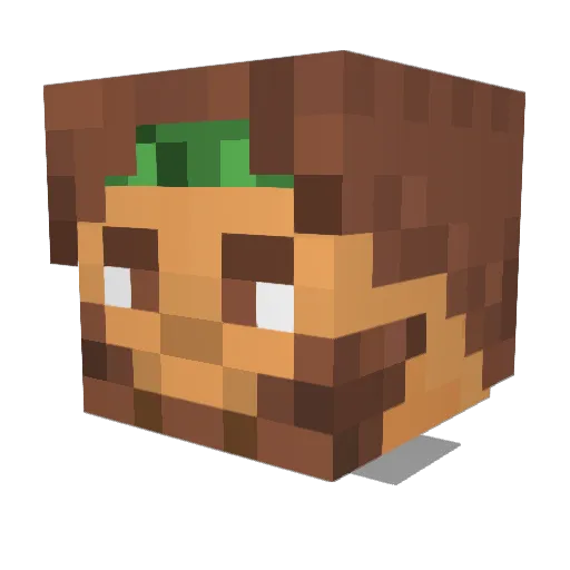 PlayOrDie Minecraft avatar head, 3D render