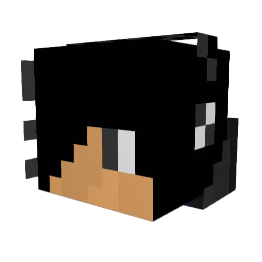 PlayToNguyen Minecraft avatar head, 3D render