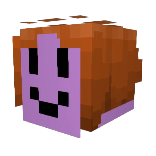 Playa_Juan Minecraft avatar head, 3D render