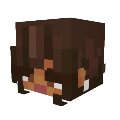 Playboi_X Minecraft avatar head, 3D render