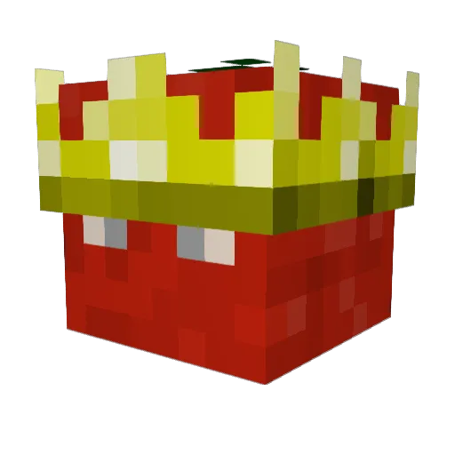 Playcated Minecraft avatar head, 3D render