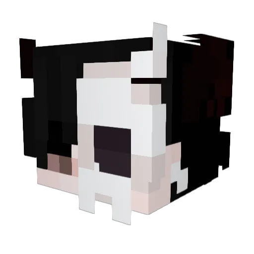 Player012 Minecraft avatar head, 3D render