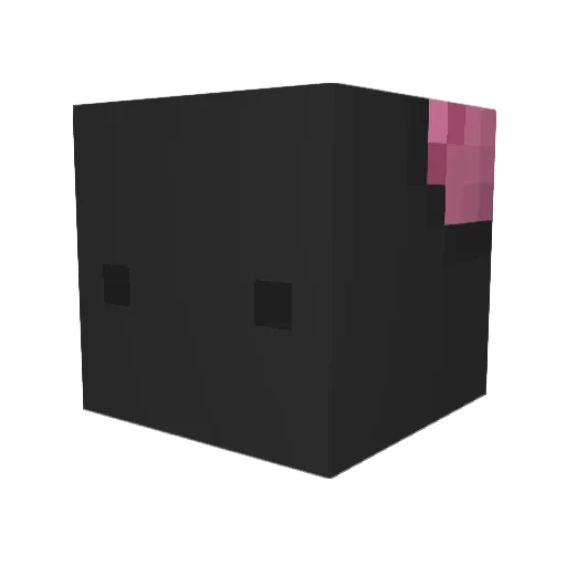 Player220811 Minecraft avatar head, 3D render