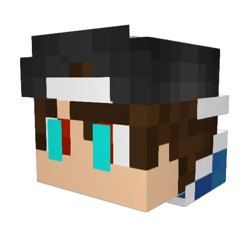 Player2508 Minecraft avatar head, 3D render